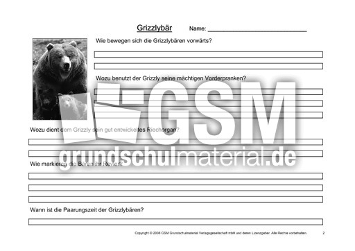 Grizzly-Fragen-2.pdf